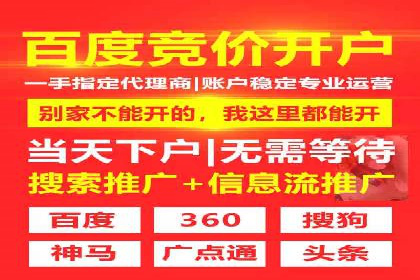 行业领先的SEM推广代运营公司案例集锦